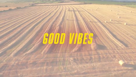 animation of the words good vibes written in yellow over a sunlit agricultural field