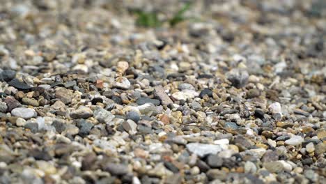 multi-colored pebbles on the a beach. beach vacation and travel background. pebble texture