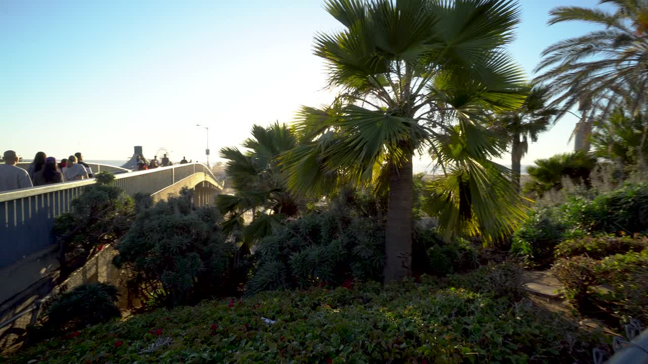 산타 모니카 거리에서 나무 을 통해 빛나는 태양