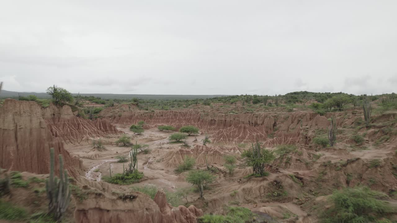 Terbang di Atas Gurun Tatacoa dengan Kaktus di Kolombia
