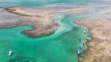 nature pool at sao miguel dos milagres in alagoas brazil