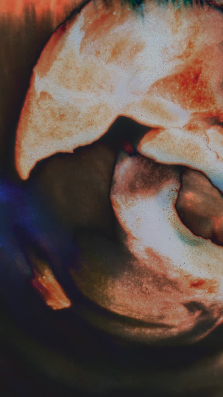 Collection of Abstract Color Forms and Textures