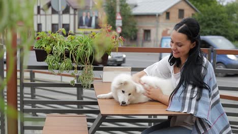 girl warms a white dog on an autumn day woman laughs and hugs a japanese spitz dog