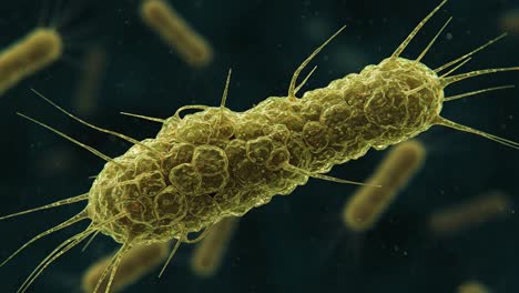 close-up view of a single bacterium exhibiting unique structures and textures in a microscopic environment, highlighting the intricacies of microbial life.