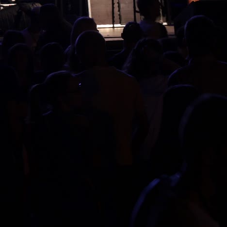 multitud en un concierto de música