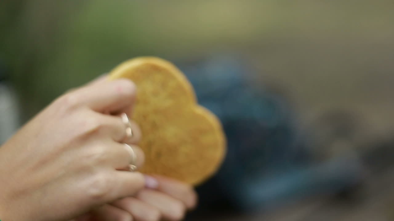 Woman With Cookies. Young woman playing with cookies in nature