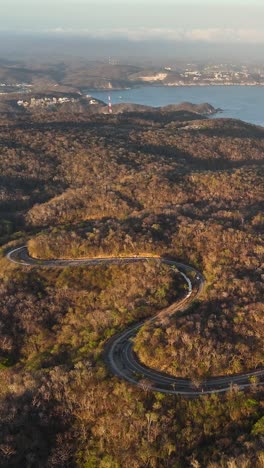 Aerial-view-of-roads-in-Huatulco-National-Park,-vertical