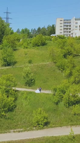 distant just married couple on hairpin curves of green hill road on sunny summer day bird eye view