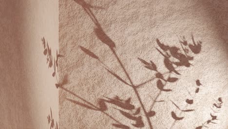 plant leaf shadow on sandy brown corner wall gently move from breeze wind