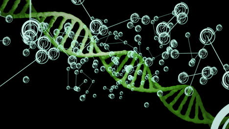 animation of network of connections with icons over dna strand on black background