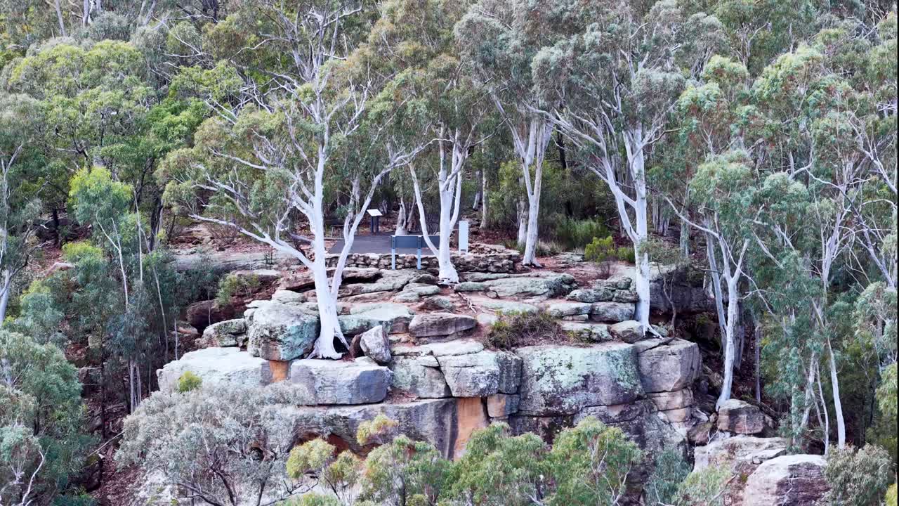 Drone camera slowly pulls back from a rocky plateau with eucalyptus trees, revealing dense forest in Warrumbungle National Park, Coonabarabran, under soft natural daylight