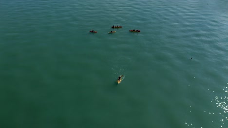 grupo de kayakistas en aguas abiertas