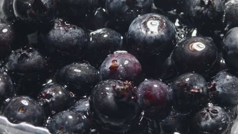 washing blueberries in slow motion