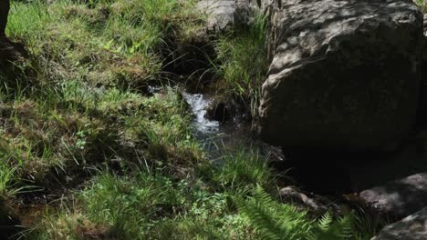 Pequeño-Arroyo-Que-Fluye-A-Través-De-Las-Rocas-En-La-Naturaleza-Prístina