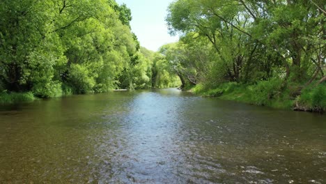 Niedrige-Luftzeitlupe-Rückwärts-über-Selwyn-River-Im-Sommer---Erholungsgebiet-Coes-Ford