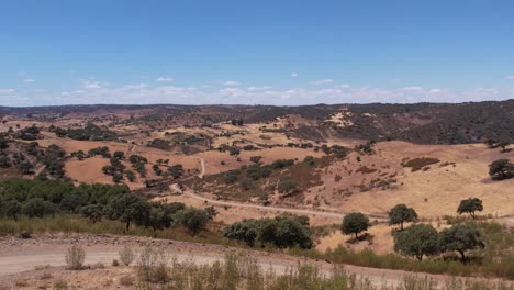 Drone-Volando-Entre-Los-Olivos-Con-Valle-Escénico-En-Verano-En-Alentejo,-Portugal