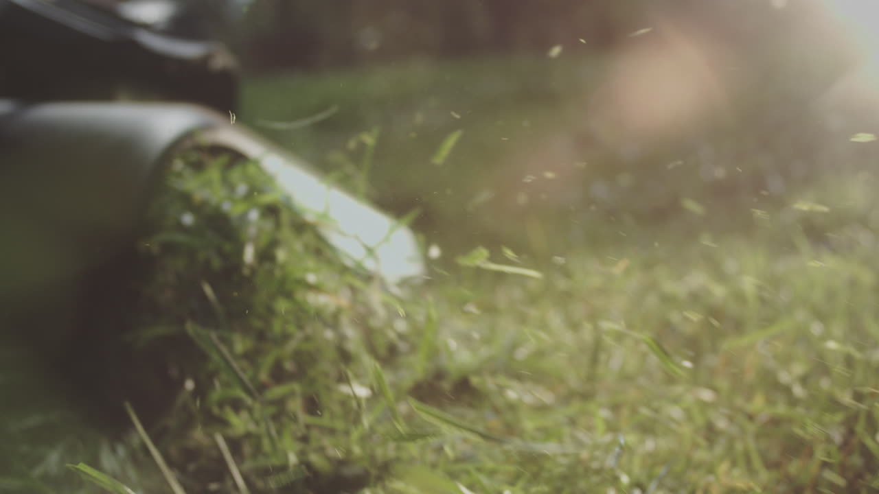 cortando el césped en verano