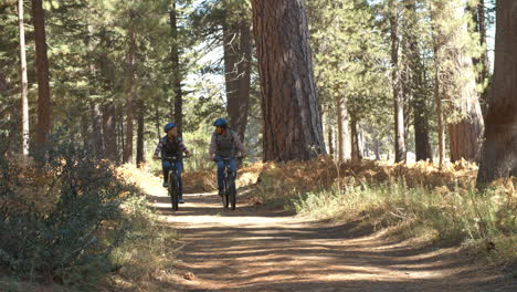 Toma-Manual-De-Una-Pareja-Andando-En-Bicicleta-Por-Un-Sendero-Forestal