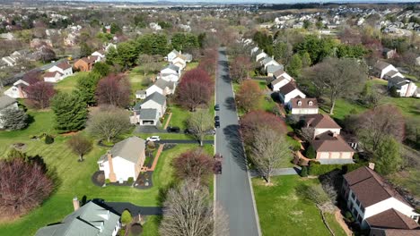 Aerial-trucking-pan-of-suburban-street-with-perfect-green-yard,-leaveless-trees