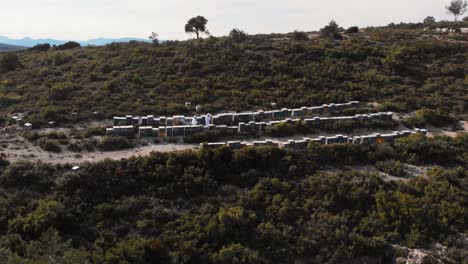 Vista-Giratoria-De-Drones-De-Apicultores-Recolectando-Miel-De-Colmenas