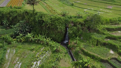 waterfall feeding irrigation canal at step farming fields, bali