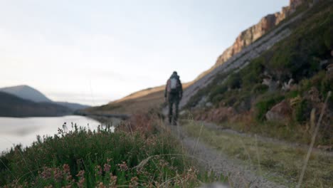 ein mann wandert im schottischen hochland von einer kamera weg, mit einer klippe und einem see im hintergrund, während im vordergrund heidekraut und gras sanft im wind wehen