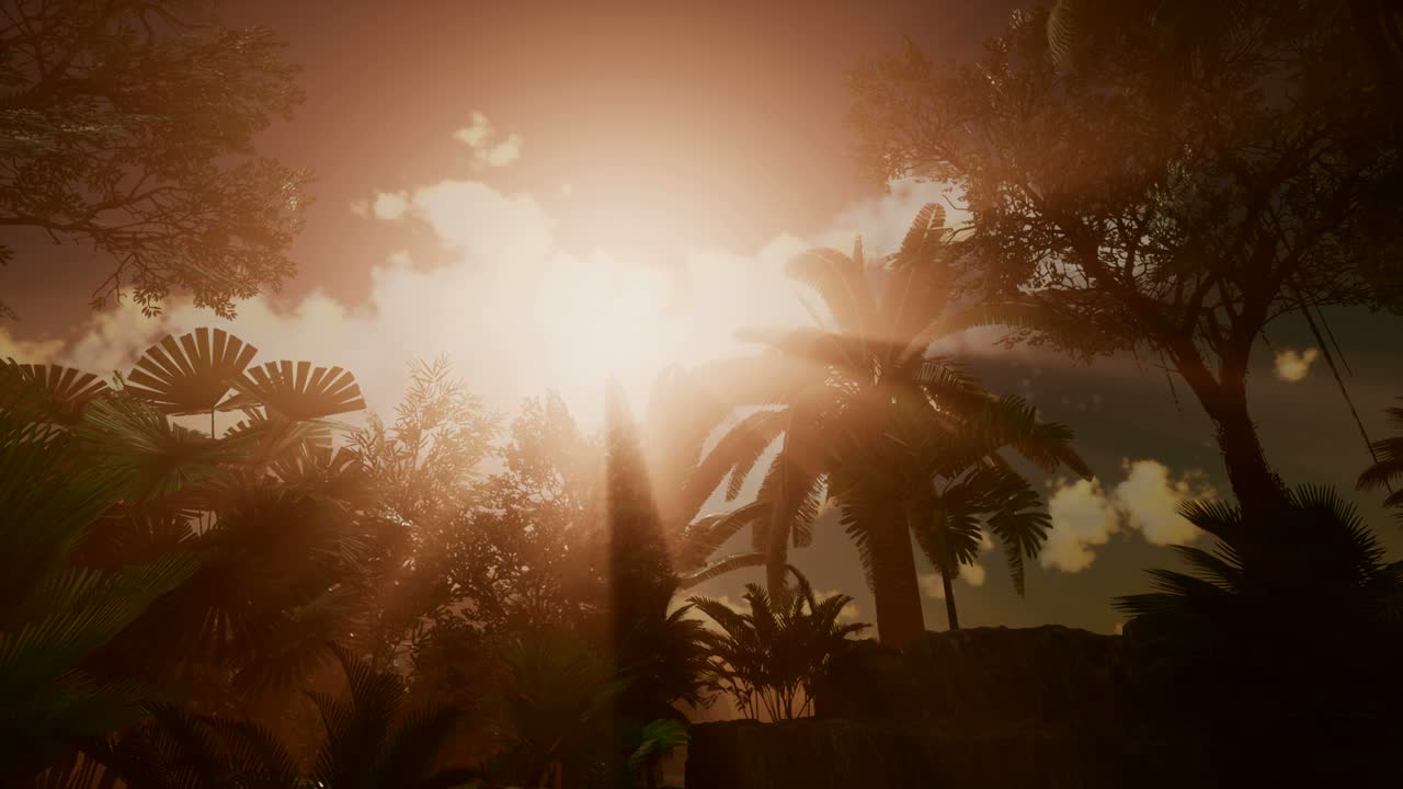 los rayos del atardecer a través de las palmeras