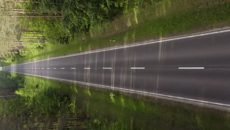 Vertikale-Luftaufnahme-Mit-Dolly-über-Der-Geraden-Asphaltstraße-Mitten-Im-Wald-Im-Sommer