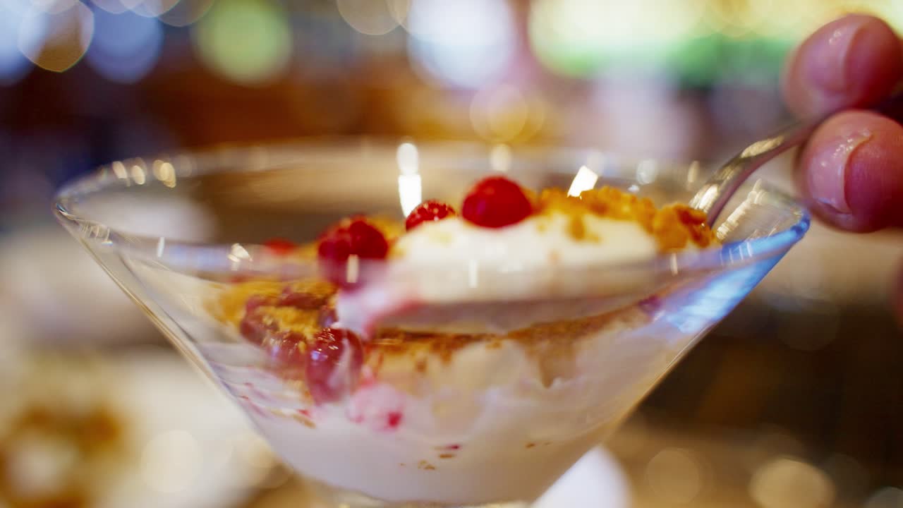 Dessert in a Cocktail Glass with Cranberries