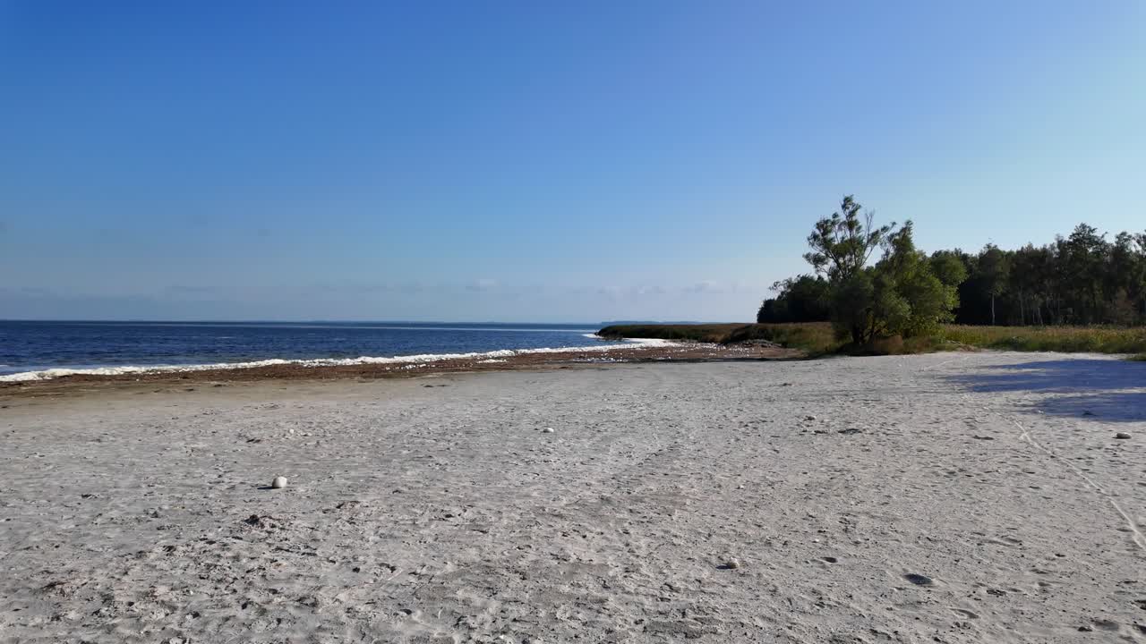 empty beach forest deep blue water mecklenburg western pomerania 4k 60fps slow motion