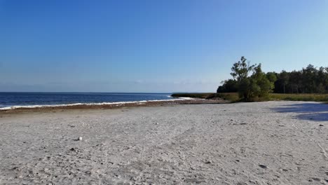 empty beach forest deep blue water mecklenburg western pomerania 4k 60fps slow motion