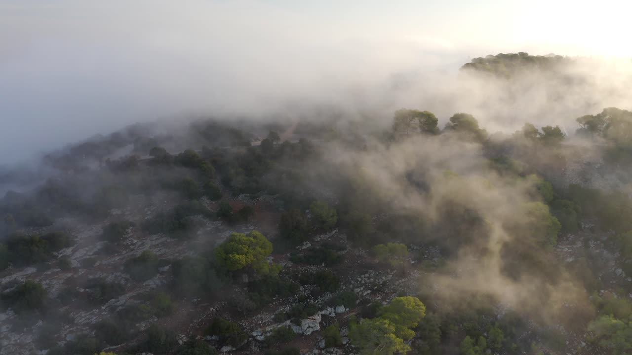 vista de la montaña con niebla