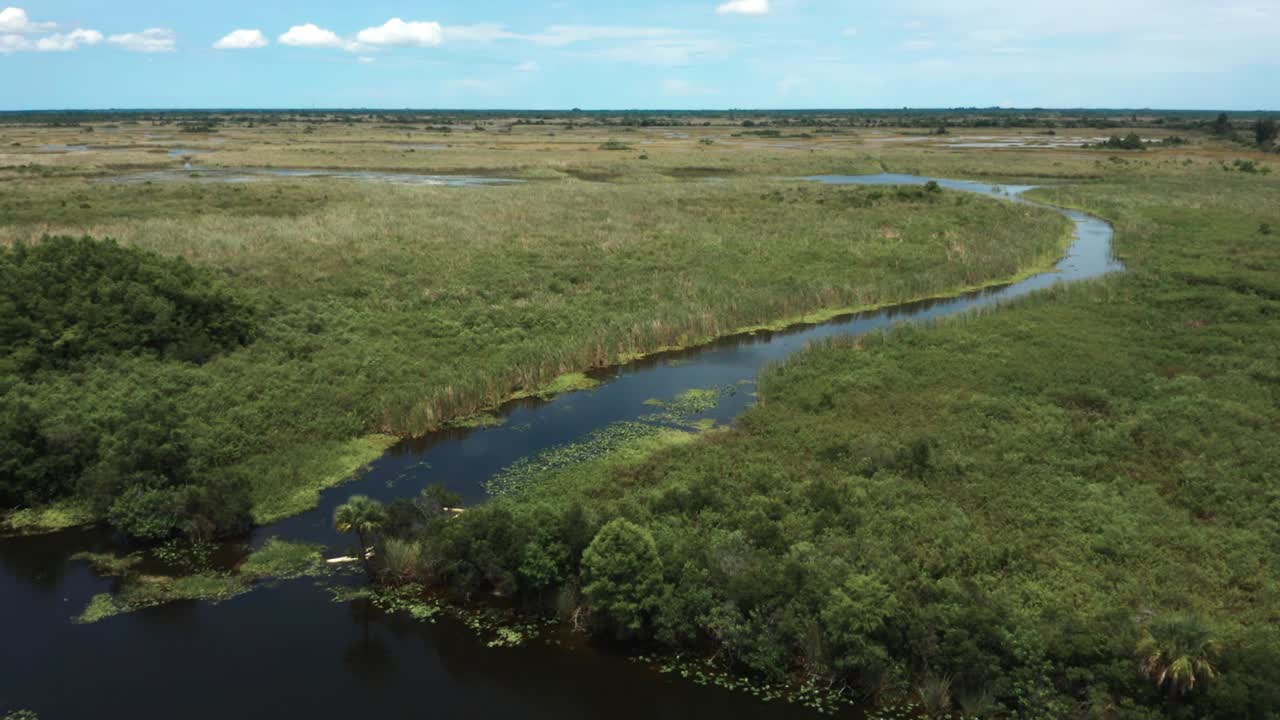 Florida Wetland flown over in rural area