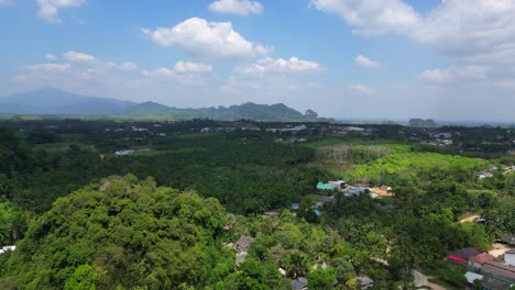 Tropical-landscape-karst-mountains-road-palm-trees