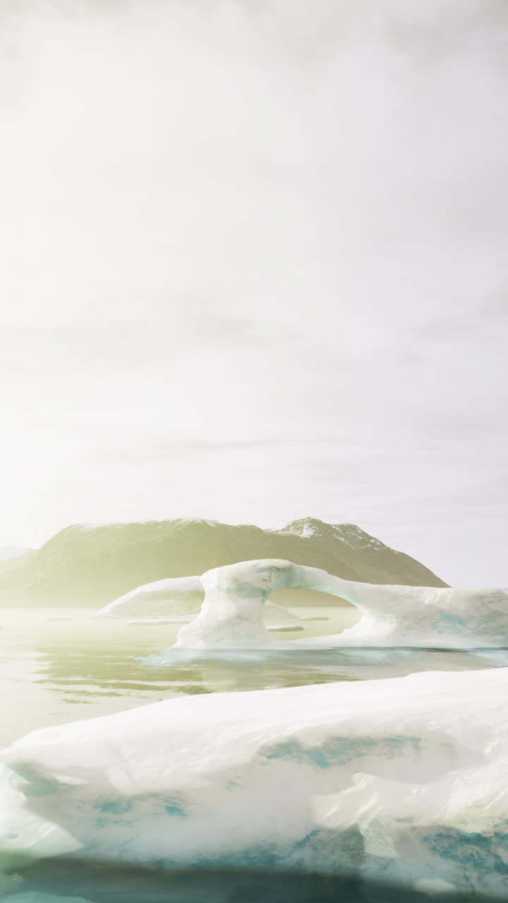 Icebergs float serenely in a tranquil arctic landscape during soft daylight