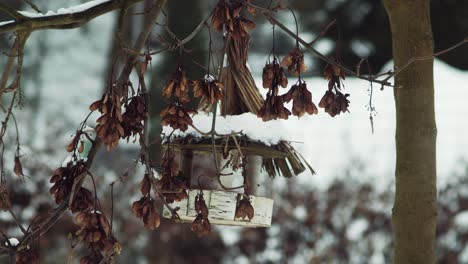 Los-Carboneros-Vuelan-Y-Revolotean-Alrededor-De-Un-Comedero-De-Pájaros-Rústico-Colgando-De-Un-árbol-Nevado-De-Invierno