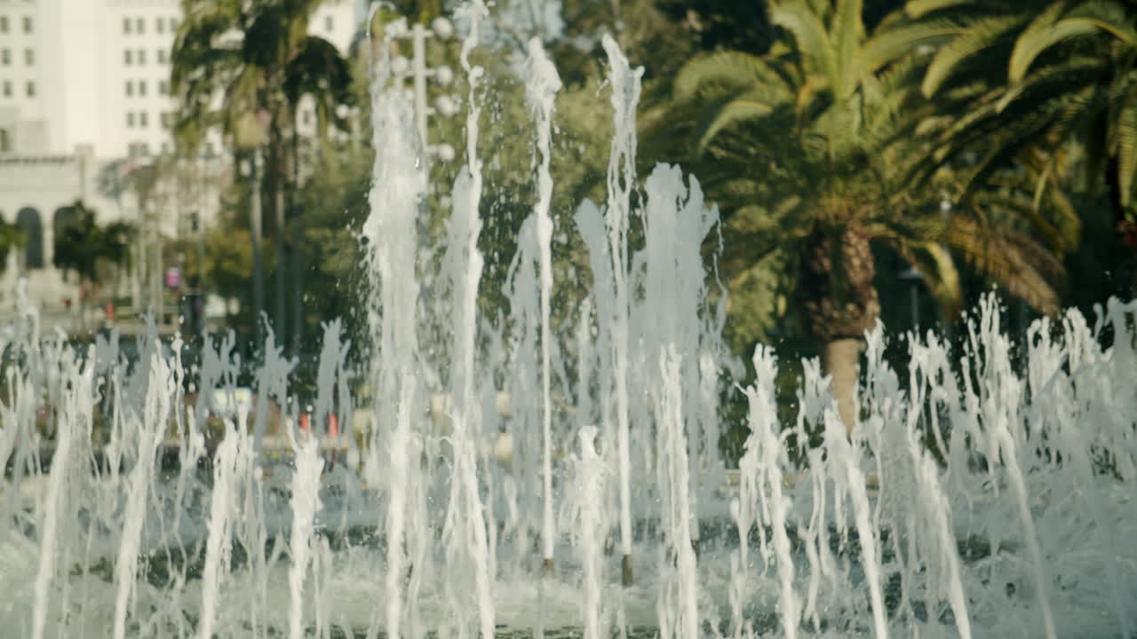 Dynamic Water Fountain with Palm Trees in a Park