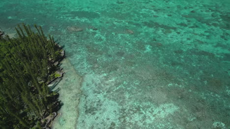 Das-Kristallklare-Wasser-Entlang-Einer-Insel-In-Der-Insel-Der-Kiefern---Gerade-Nach-Unten-Und-Dann-Nach-Oben,-Um-Die-Atemberaubende-Lage-Zu-Enthüllen