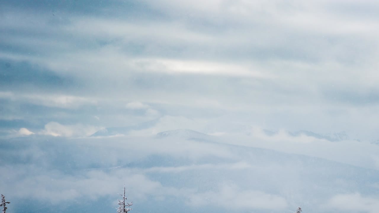 아름다운 산의 날, 구름이 가득한 겨울의 소나무