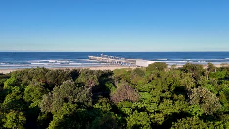 drone footage captures a sunny day at gold coast beach with a prominent jetty and lush greenery