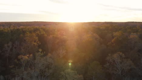 reversing over a forest as the setting sun casts a golden glow over the canopy, then turning with a lens flare to reveal a beautiful lake reflecting the blue sky and evening shadows