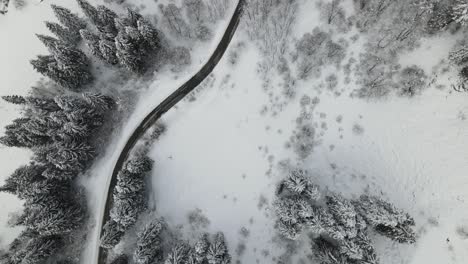 Aerial-Snowy-Way