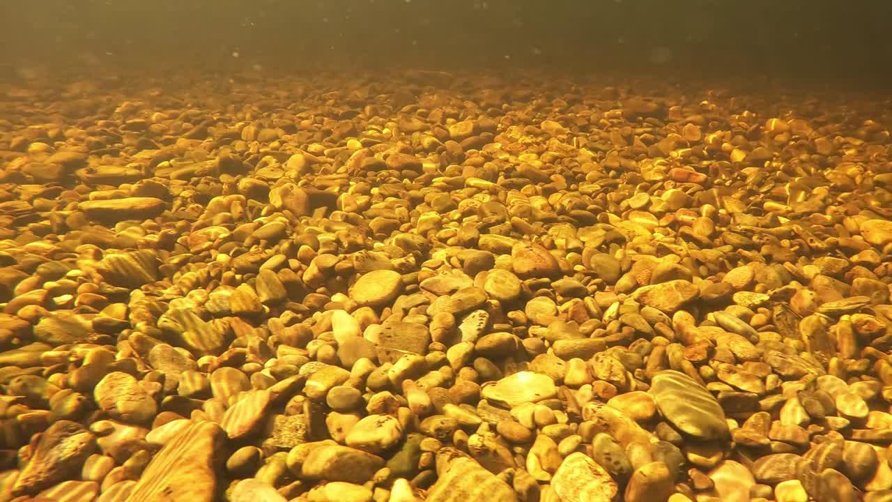 바위를 빛나게 만드는 맑은 물 강 바닥에 빛나는 태양