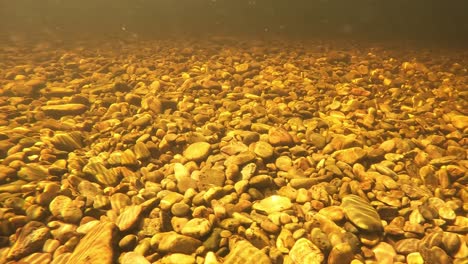 sun shining on the bottom of a clear water river making the rock glow