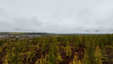 soaring high over yakutia, vibrant autumn colors paint the vast forest landscape, revealing the serene beauty of nature