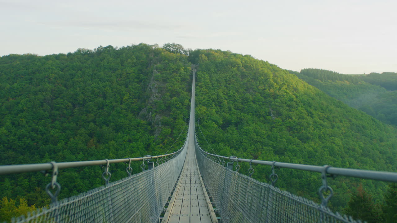 여름날 pov-1 아침에 geierlay 현수교 와이드 샷