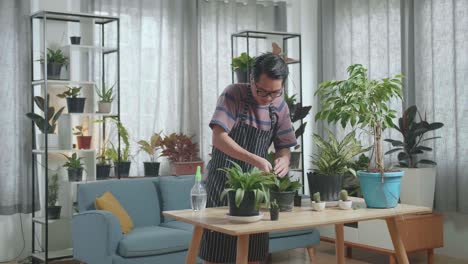 asian man cleaning the plant at home