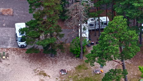 modern recreational vehicles parked at a serene campsite nestled among pine trees in a beautiful natural latvian landscape, perfect for a summer vacation road trip, people camping