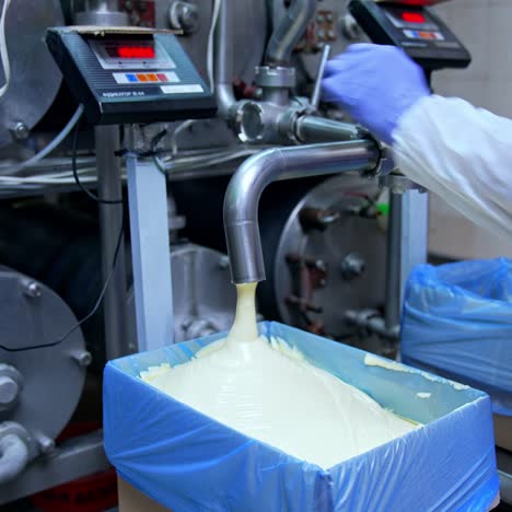 creamy white dairy substance being poured into the box covered with plastic bag. hand of the worker pushes the valve to stop pouring. filling another box with dairy product