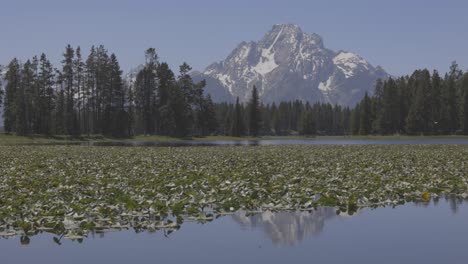 Tight-panning-shot-over-small-pond-and-mountains-in-western-Wyoming-shot-in-4K